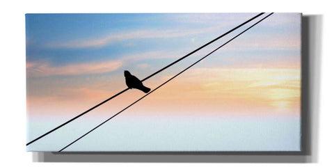 Image of 'Sunset Watching' by Epic Portfolio, Giclee Canvas Wall Art