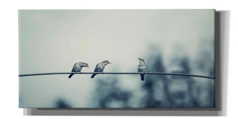 Image of 'Three Musketeers' by Epic Portfolio, Giclee Canvas Wall Art