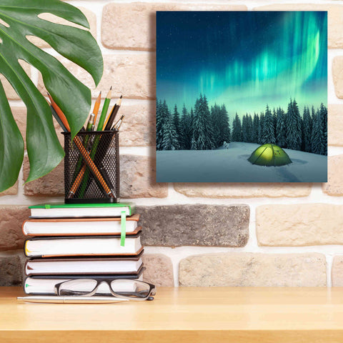Image of 'Northern Lights In Winter Forest 1' by Epic Portfolio, Giclee Canvas Wall Art,12x12