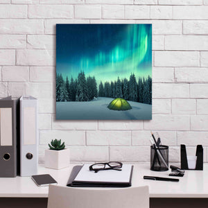 'Northern Lights In Winter Forest 1' by Epic Portfolio, Giclee Canvas Wall Art,18x18