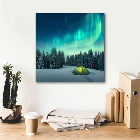 Image of 'Northern Lights In Winter Forest 1' by Epic Portfolio, Giclee Canvas Wall Art,18x18