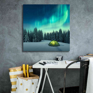 'Northern Lights In Winter Forest 1' by Epic Portfolio, Giclee Canvas Wall Art,26x26