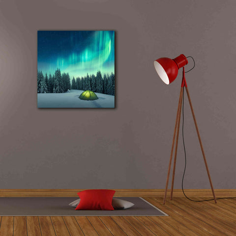 Image of 'Northern Lights In Winter Forest 1' by Epic Portfolio, Giclee Canvas Wall Art,26x26