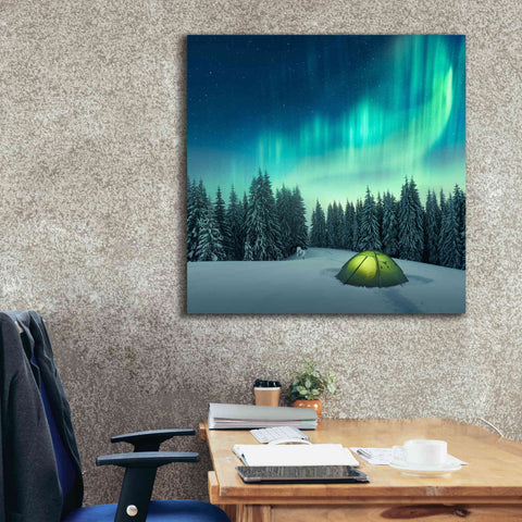 Image of 'Northern Lights In Winter Forest 1' by Epic Portfolio, Giclee Canvas Wall Art,37x37