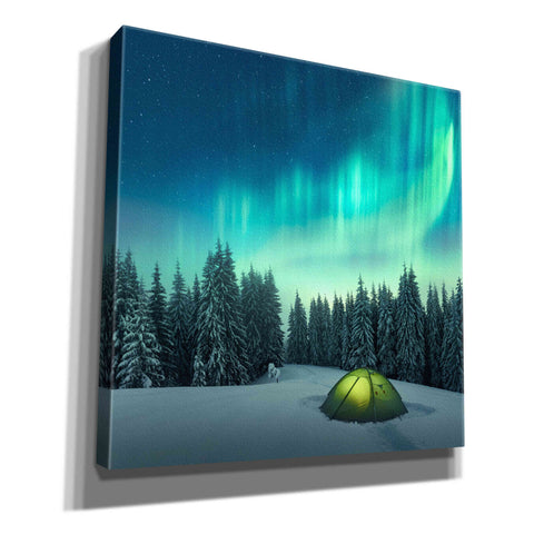 Image of 'Northern Lights In Winter Forest 1' by Epic Portfolio, Giclee Canvas Wall Art