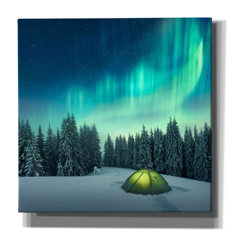 Image of 'Northern Lights In Winter Forest 1' by Epic Portfolio, Giclee Canvas Wall Art