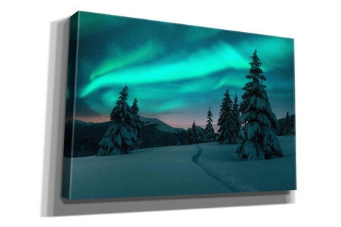 Image of 'Northern Lights In Winter Forest 4' by Epic Portfolio, Giclee Canvas Wall Art