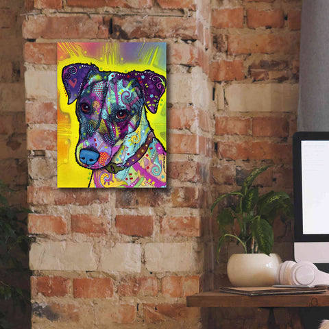 Image of 'Jack Russell' by Dean Russo, Giclee Canvas Wall Art,12x16