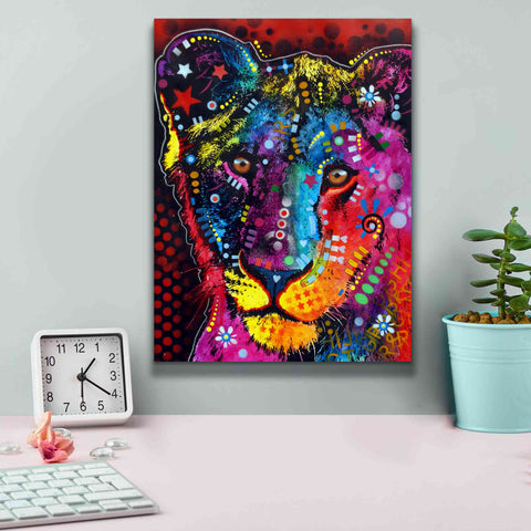 Image of 'Young Lion' by Dean Russo, Giclee Canvas Wall Art,12x16