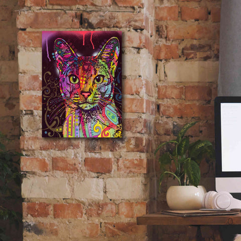 Image of 'Abyssinian' by Dean Russo, Giclee Canvas Wall Art,12x16