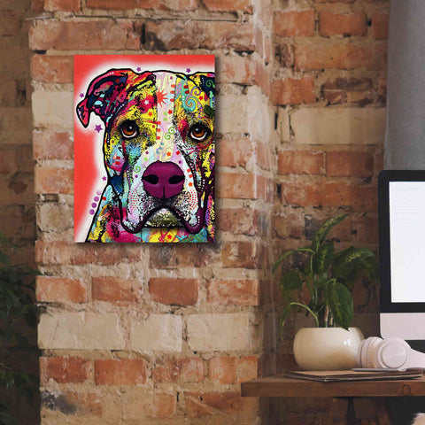 Image of 'American Bulldog 1' by Dean Russo, Giclee Canvas Wall Art,12x16