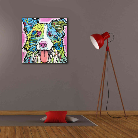 Image of 'Colly' by Dean Russo, Giclee Canvas Wall Art,26x26
