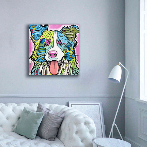 Image of 'Colly' by Dean Russo, Giclee Canvas Wall Art,37x37