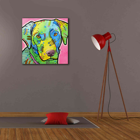 Image of 'Labrador' by Dean Russo, Giclee Canvas Wall Art,26x26