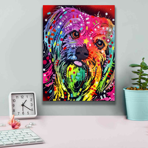 Image of 'Yorkie 2' by Dean Russo, Giclee Canvas Wall Art,12x16