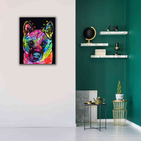 Image of 'Akita 2' by Dean Russo, Giclee Canvas Wall Art,26x34