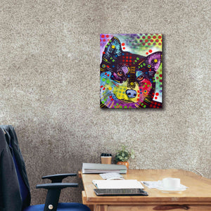 'Shiba Inu' by Dean Russo, Giclee Canvas Wall Art,20x24