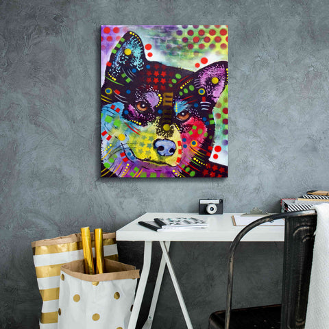 Image of 'Shiba Inu' by Dean Russo, Giclee Canvas Wall Art,20x24