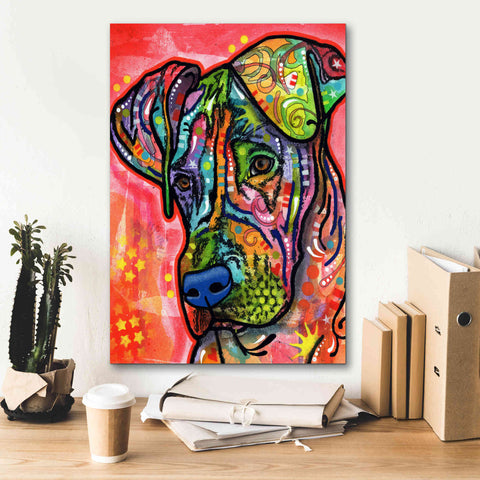 Image of 'Zen' by Dean Russo, Giclee Canvas Wall Art,18x26