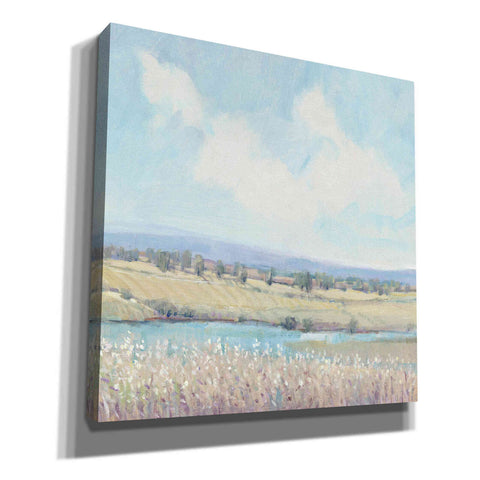 Image of 'Flowing Creek I' by Tim O'Toole, Canvas Wall Art