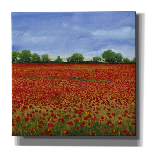 Image of 'Field of Poppies I' by Tim O'Toole, Canvas Wall Art
