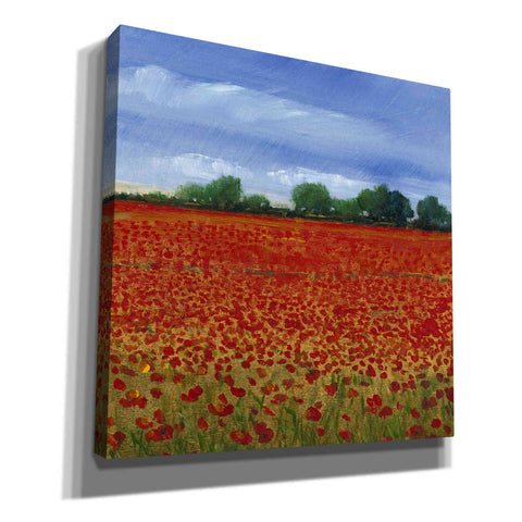 Image of 'Field of Poppies II' by Tim O'Toole, Canvas Wall Art