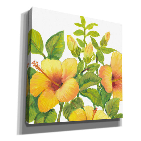 Image of 'Watercolor Hibiscus I' by Tim O'Toole, Canvas Wall Art
