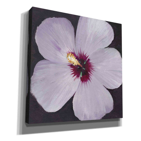Image of 'Hibiscus Portrait I' by Tim O'Toole, Canvas Wall Art