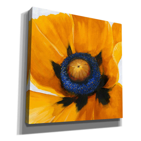 Image of 'Close-Up I' by Tim O'Toole, Canvas Wall Art