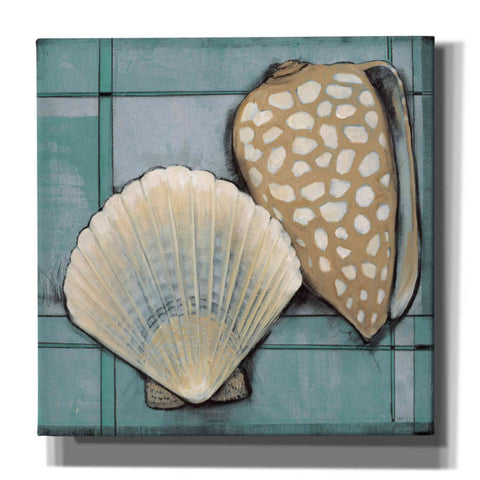 Image of 'Seashell Sketch I' by Tim O'Toole, Canvas Wall Art