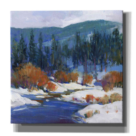 Image of 'Mountain Creek I' by Tim O'Toole, Canvas Wall Art