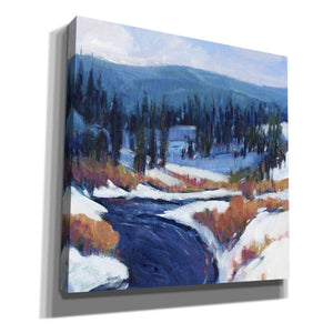 'Mountain Creek II' by Tim O'Toole, Canvas Wall Art