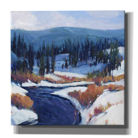 Image of 'Mountain Creek II' by Tim O'Toole, Canvas Wall Art