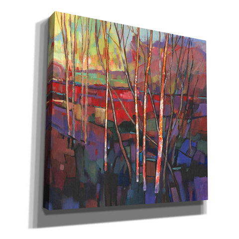 Image of 'Patchwork Trees I' by Tim O'Toole, Canvas Wall Art