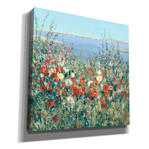 Image of 'Seaside Garden II' by Tim O'Toole, Canvas Wall Art