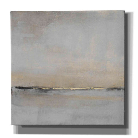Image of 'Horizontal Flow II' by Tim O'Toole, Canvas Wall Art