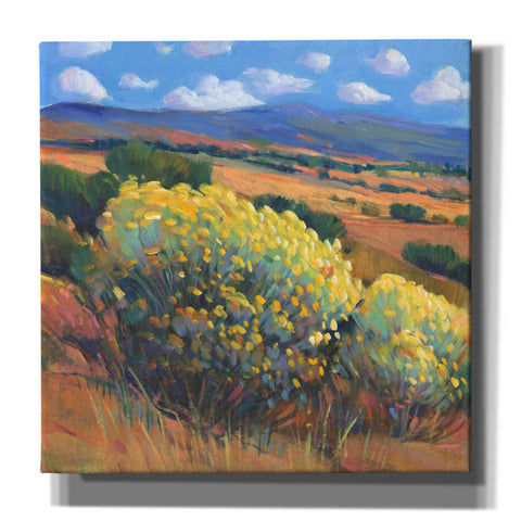 Image of 'Chamisa I' by Tim O'Toole, Canvas Wall Art