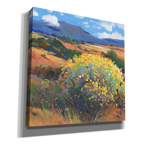 Image of 'Chamisa II' by Tim O'Toole, Canvas Wall Art