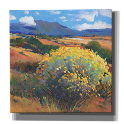 Image of 'Chamisa II' by Tim O'Toole, Canvas Wall Art