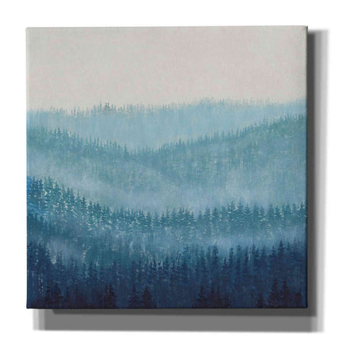 Image of 'Smoky Ridge I' by Tim O'Toole, Canvas Wall Art