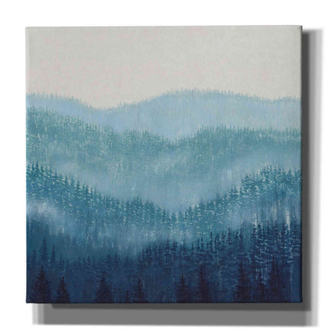 Image of 'Smokey Ridge II' by Tim O'Toole, Canvas Wall Art