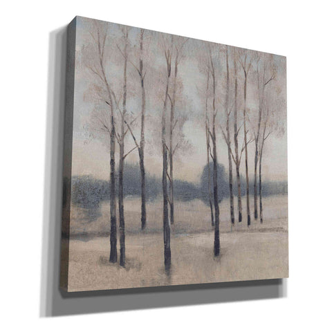 Image of 'Soft Light I' by Tim O'Toole, Canvas Wall Art