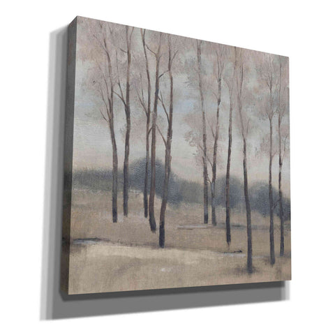 Image of 'Soft Light II' by Tim O'Toole, Canvas Wall Art