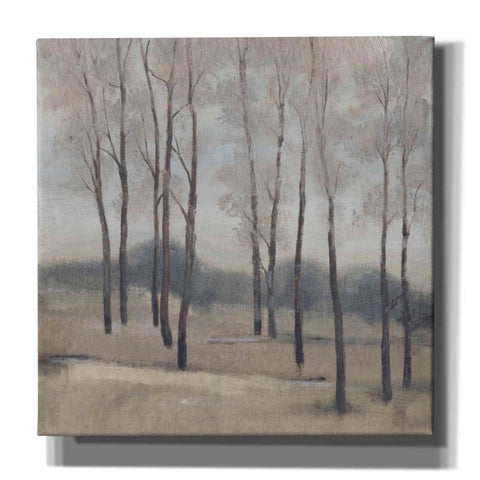 Image of 'Soft Light II' by Tim O'Toole, Canvas Wall Art