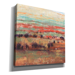 'Divided Landscape I' by Tim O'Toole, Canvas Wall Art