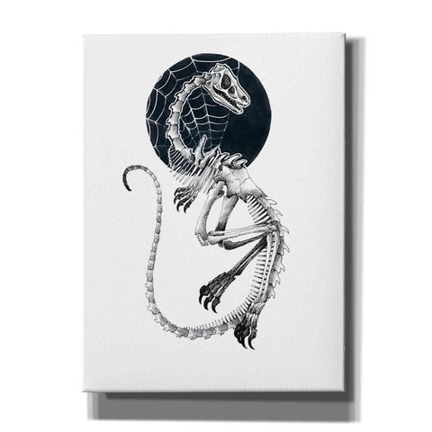 Image of 'Skeletal Velociraptor ' by Avery Multer, Canvas Wall Art
