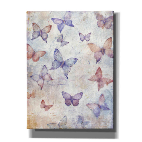 Image of 'In Flight II' by Tim O'Toole, Canvas Wall Art