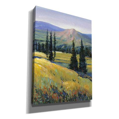 Image of 'Purple Mountain Majesty II' by Tim O'Toole, Canvas Wall Art