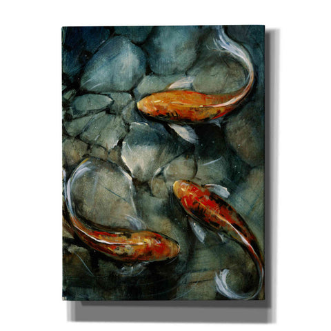 Image of 'Tres Koi I' by Tim O'Toole, Canvas Wall Art