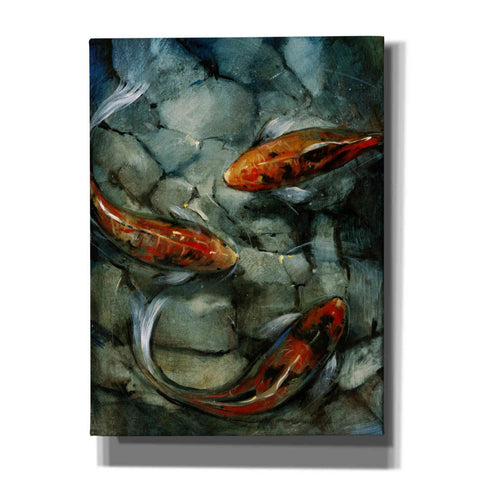 Image of 'Tres Koi II' by Tim O'Toole, Canvas Wall Art